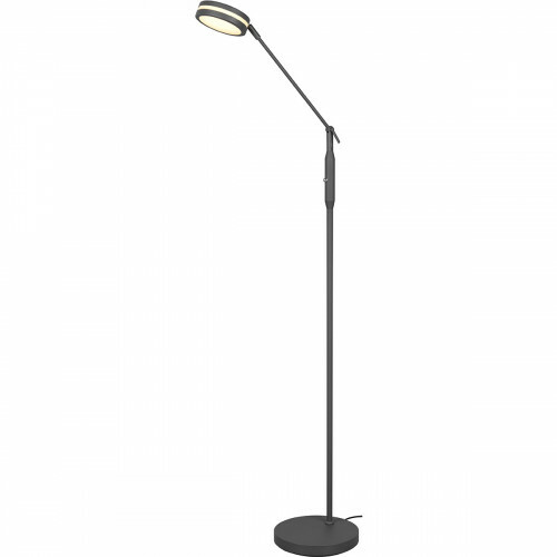 Lampadaire LED - Trion Franco - 6.5W - Couleur de lumière ajustable - Dimmable - Rond - Mat Anthracite - Aluminium