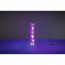 LED Tafellamp - Trion Ricardo - 1.5W - Warm Wit 3000K - Dimbaar - Rond - Mat Chroom - Aluminium 12